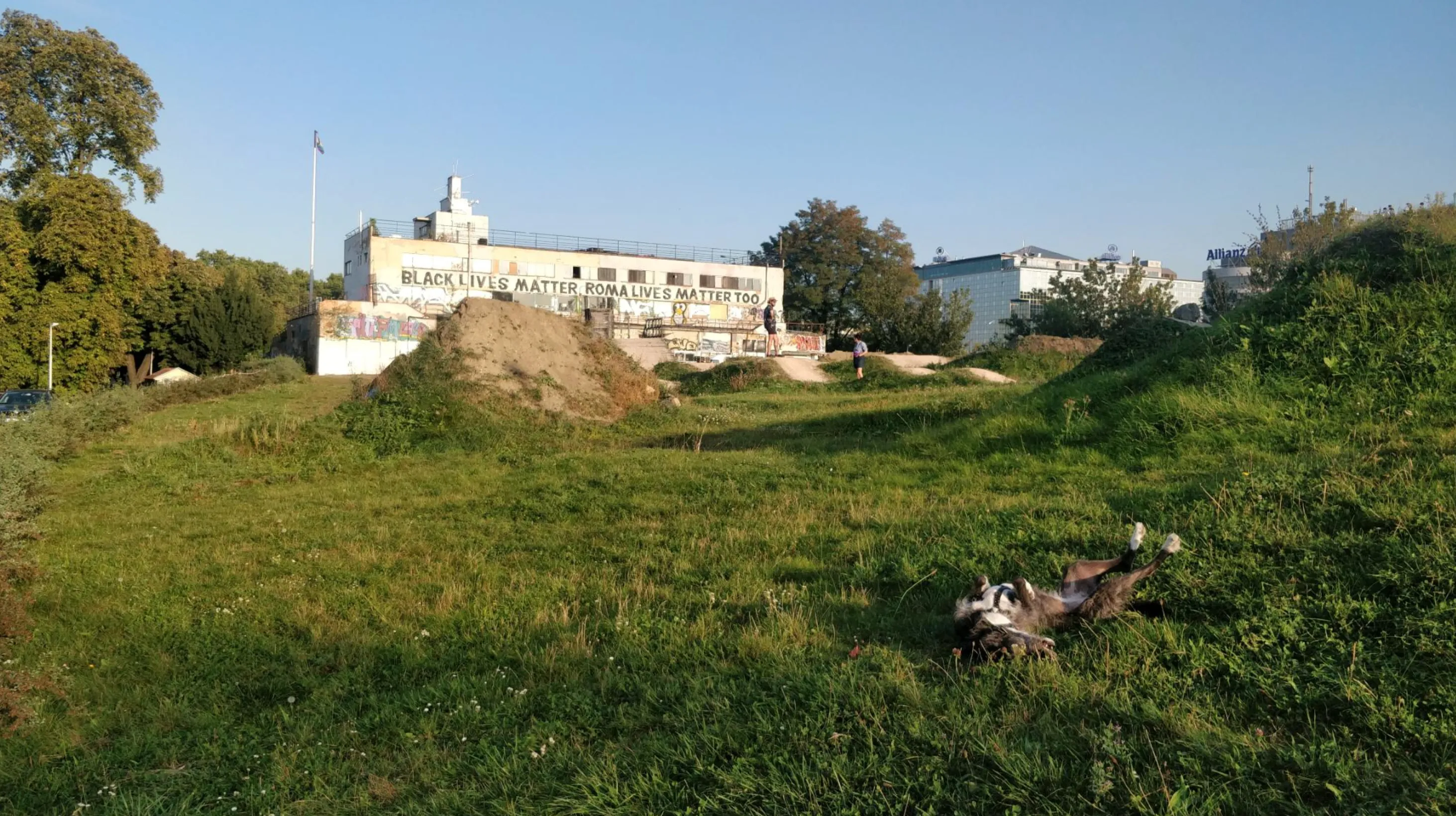 Lillet enjoying the meadow infront of Bike Jesus