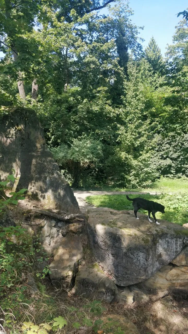 The pond at Kinski park