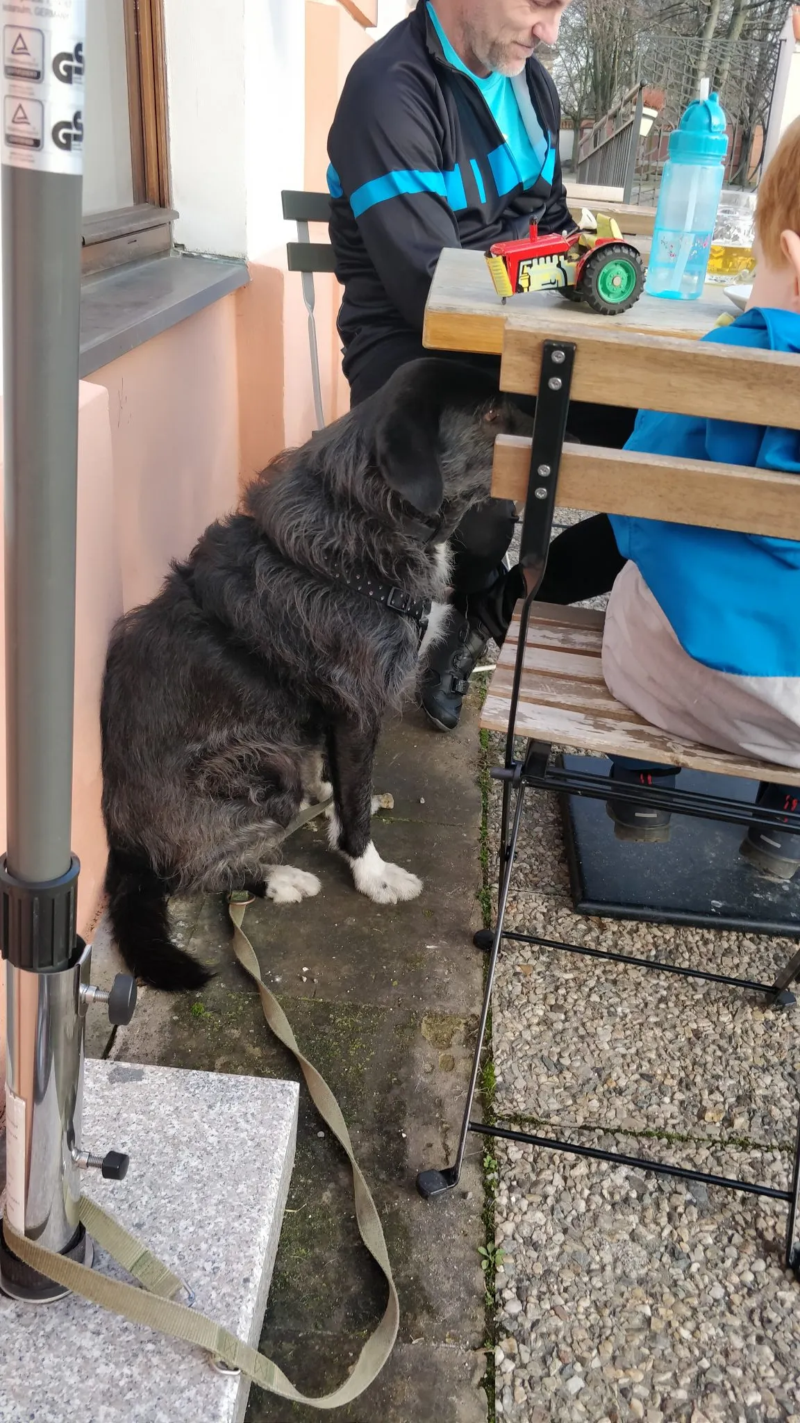 Lillet sits at the neighbors table