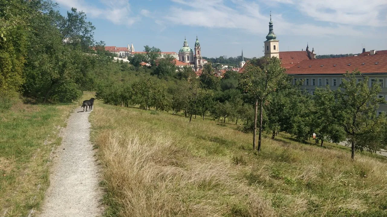 Orchards in late summer