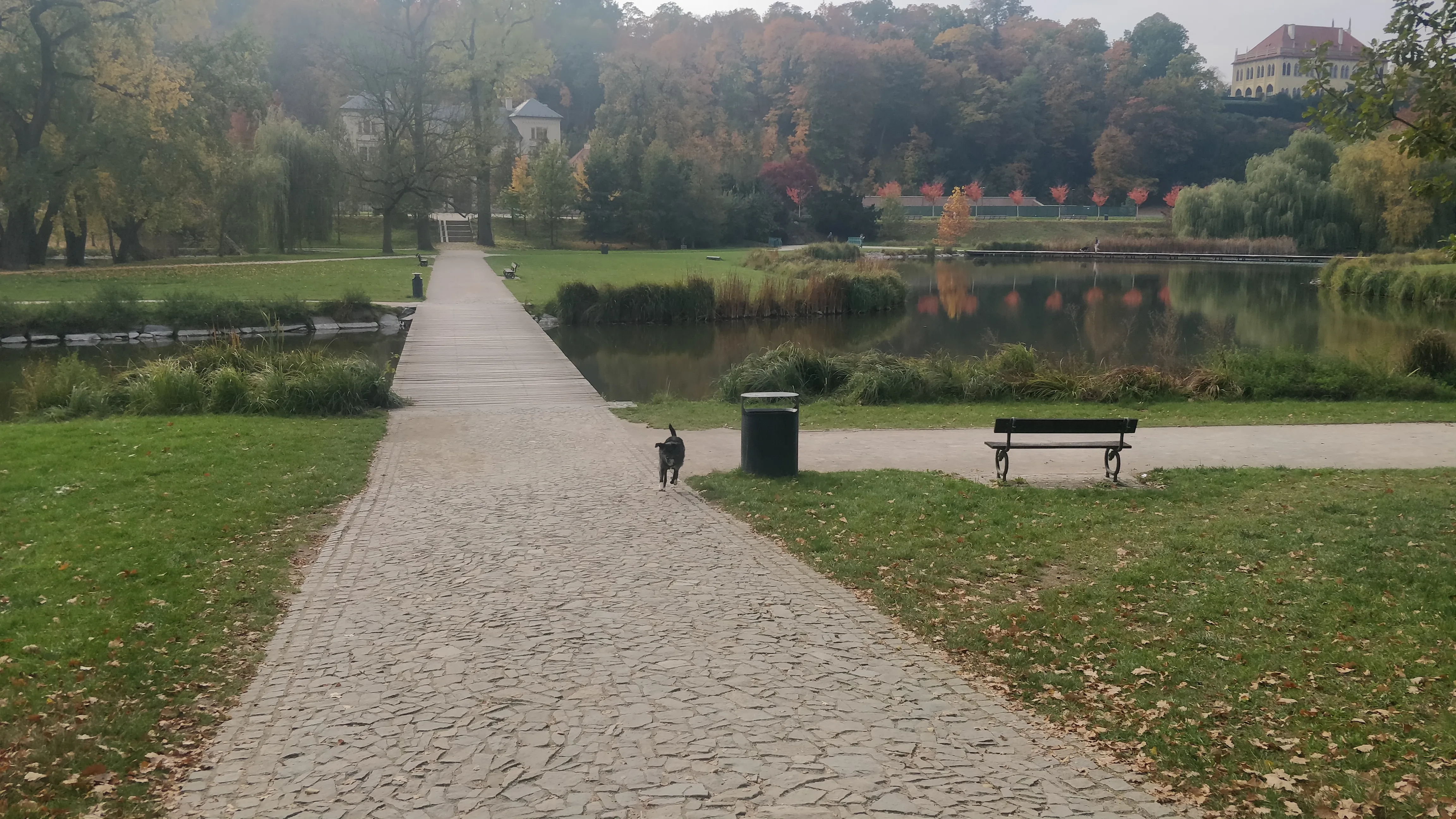 The lake in the center of Stromovka